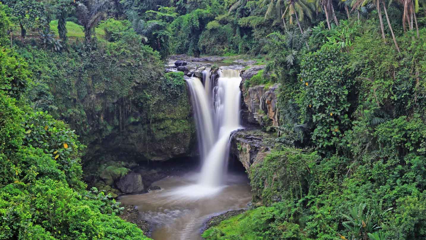 Ubud tours