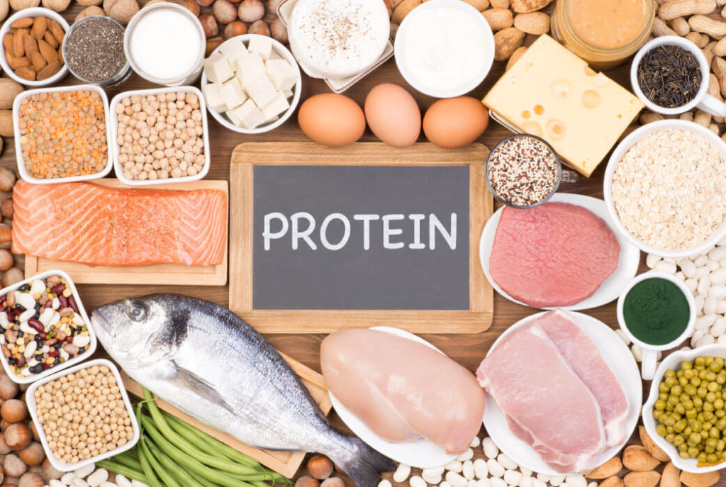 The Importance of Protein